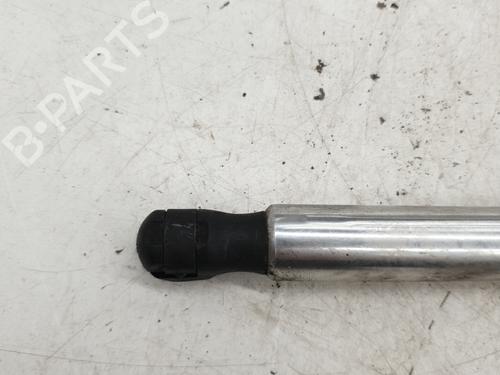 Hood lift support VW GOLF IV (1J1) 1.9 SDI | BP22871392C139 