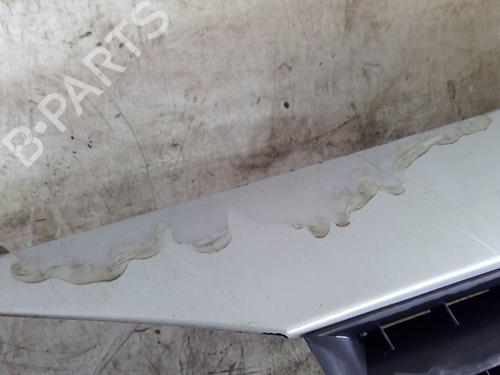 Front bumper RENAULT MEGANE II (BM0/1_, CM0/1_) 1.6 16V (BM0C, CM0C) | BP22881418C7 