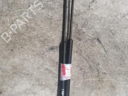 Tailgate lift support VW POLO (9N_, 9A_) 1.4 TDI | BP28124203C138 