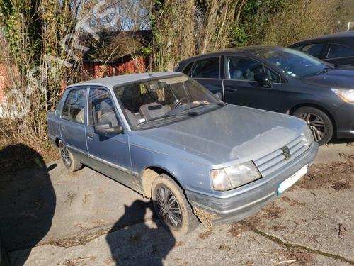 Used Parts PEUGEOT 309 II (3C, 3A) 1.9 Diesel 4823854