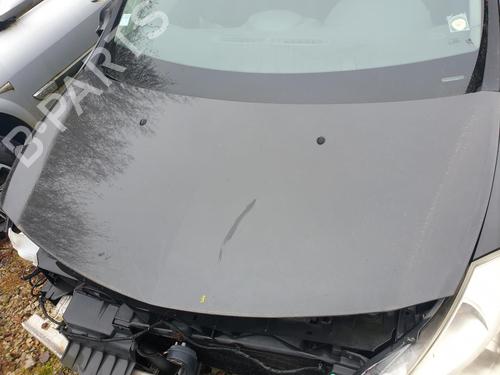 Capot RENAULT CLIO III (BR0/1, CR0/1) 1.2 16V (BR0P, CR0P) (101 hp) 32372999