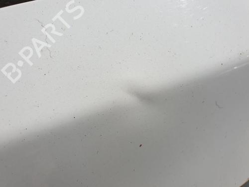 Used Left front fenders SKODA ROOMSTER (5J7) 1.9 TDI (105 hp) 22868355