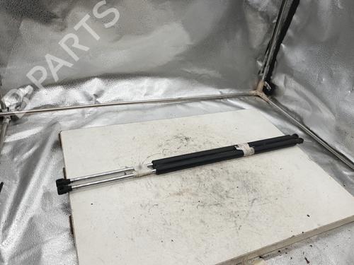 Used Tailgate lift support RENAULT ESPACE IV (JK0/1_) 2.0 dCi (JK02, JK03) (131 hp) 22871247