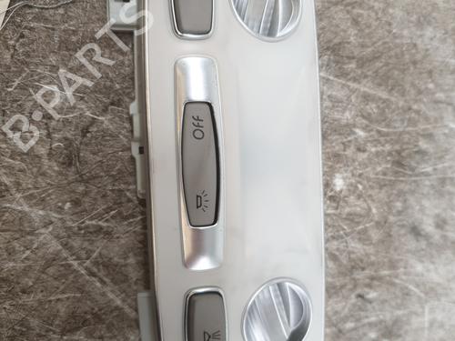 Used Interior roof light RENAULT LAGUNA III (BT0/1) 2.0 dCi (BT01, BT08, BT09, BT0E, BT0K, BT12, BT1C, BT1D,... (150 hp) 25834799