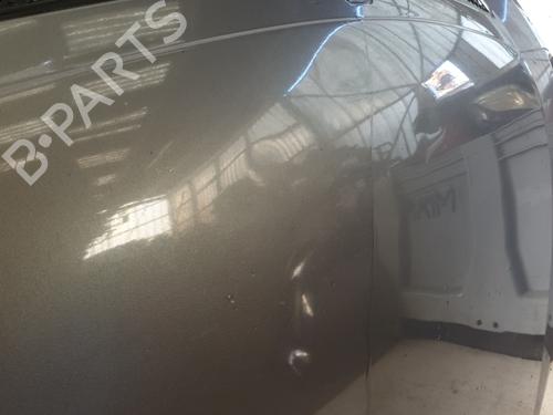 Capot Capot RENAULT SCÉNIC I MPV (JA0/1_, FA0_) 1.9 dCi (JA05, JA1F) (102 hp) 24150164 24150164