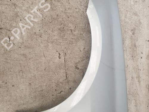 Used Left front fenders RENAULT LAGUNA III (BT0/1) 2.0 dCi (BT01, BT08, BT09, BT0E, BT0K, BT12, BT1C, BT1D,... (150 hp) 28490344