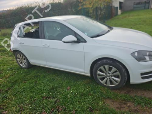 Brugte VW GOLF VII (5G1, BQ1, BE1, BE2) 1.6 TDI 4953368