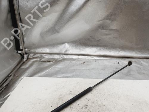Hood lift support AUDI A3 (8P1) 1.9 TDI | BP22864421C139 