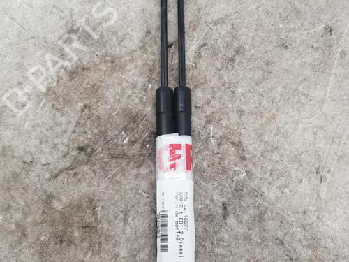 tailgate-lift-support-bmw-1-e81-2006-2007-2008-2009-2010-2011-2012-30514045 main image