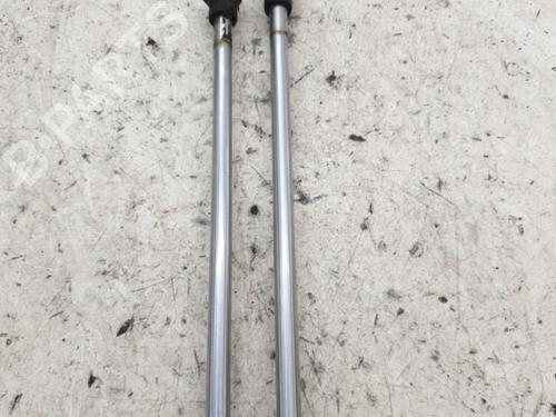 Tailgate lift support RENAULT CLIO III (BR0/1, CR0/1) 1.5 dCi (C/BR0G, C/BR1G) | BP25270369C138 
