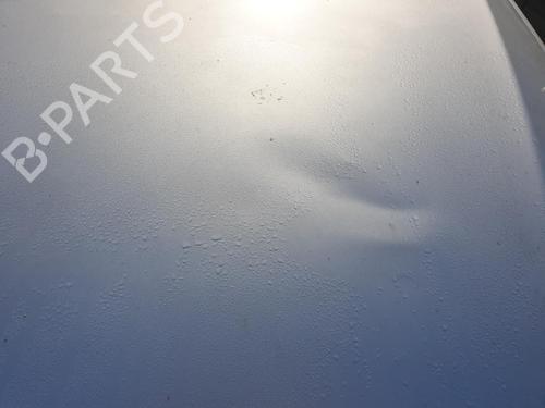 Hood BMW 3 (E90) 320 d | BP28798803C1 