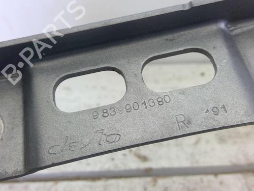 Used Hinge/Door check strap PEUGEOT 2008 II (UD_, US_, UY_, UJ_, UR_, UC_) 1.5 BlueHDI 110 (UDYHSK) (110 hp) 22882042