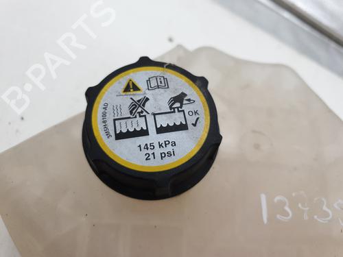 Expansion tank FORD FIESTA VI (CB1, CCN) 1.6 TDCi | BP22893124C120 