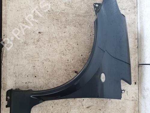 Left front fenders CITROËN C3 Pluriel (HB_) 1.6 | BP29120101C41 