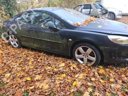 Kabinelys PEUGEOT 407 Coupe (6C_) 2.7 HDi | BP37280587I8  - Image 5