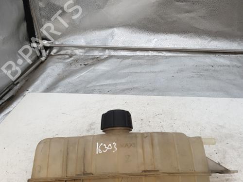 expansion-tank-renault-modus-grand-modus-fjp0_-2004-24423217 main image