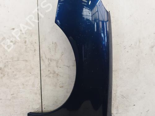 Left front fenders PEUGEOT 206 Hatchback (2A/C) 1.4 i | BP30819256C41