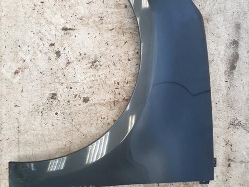 Used Left front fenders RENAULT SCÉNIC III (JZ0/1_) 1.9 dCi (JZ0J, JZ1J, JZ1K, JZ1S) (131 hp) 29434608