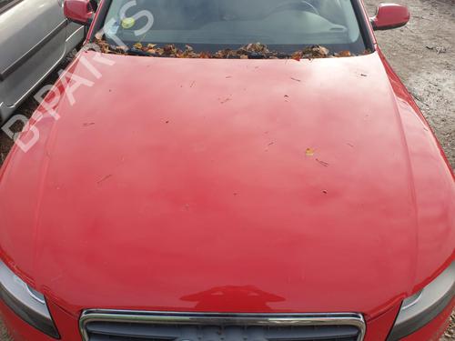 BP29981493C1 main image