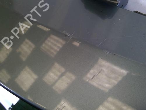 Used Tailgate Tailgate 22868139 22868139