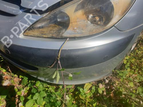 Front bumper PEUGEOT 307 (3A/C) 2.0 HDi 110 | BP28425777C7 