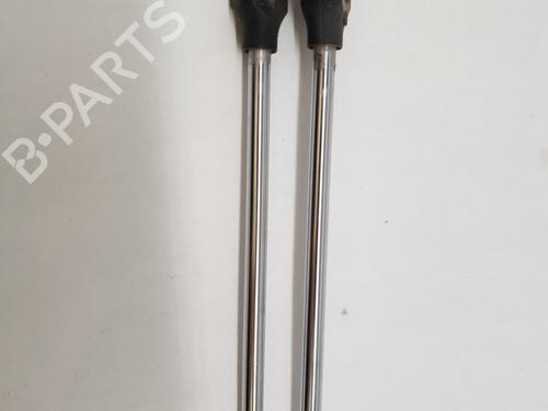 Tailgate lift support CITROËN EVASION MPV (22, U6) 2.1 TD | BP27685797C138 