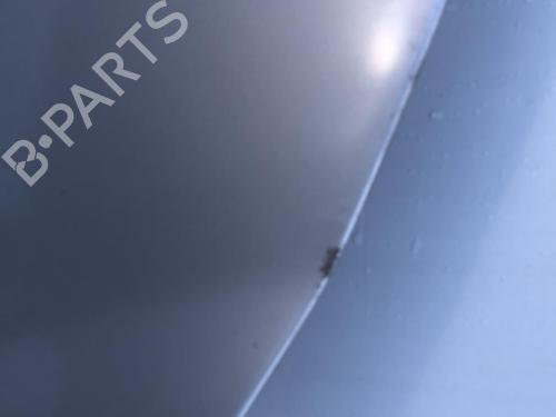 Hood RENAULT CLIO III (BR0/1, CR0/1) 1.5 dCi (C/BR0G, C/BR1G) | BP26685838C1 