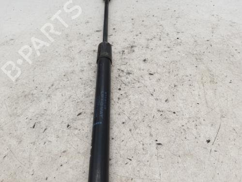 Used Tailgate lift support RENAULT MEGANE III Hatchback (BZ0/1_, B3_) 1.5 dCi (BZ09, BZ0D, BZ1W, BZ29, BZ14) (110 hp) 24423099