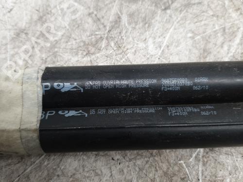 Tailgate lift support CITROËN DS3 (SA_) 1.4 VTi 95 | BP31191882C138