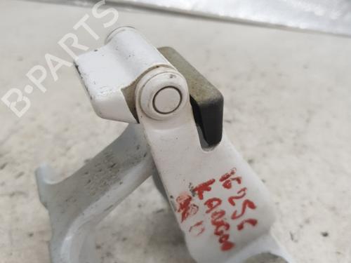 Hinge/Door check strap RENAULT KANGOO Express (FW0/1_) 1.5 dCi 75 (FW07, FW10, FW04) | BP25843230C146 