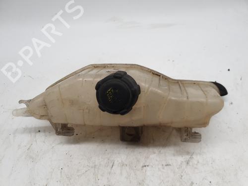 Used Expansion tank RENAULT CLIO III (BR0/1, CR0/1) 1.5 dCi (C/BR0G, C/BR1G) (68 hp) 22877563