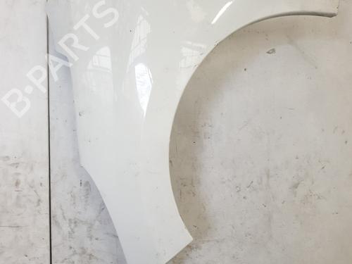 Guarda-lamas esquerdo PEUGEOT 207 (WA_, WC_) 1.4 HDi (68 hp) 31344375
