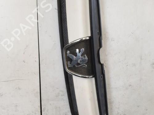 Used Grille Grille PEUGEOT BOXER Bus (244, Z_) 2.2 HDi (101 hp) 22875107 22875107