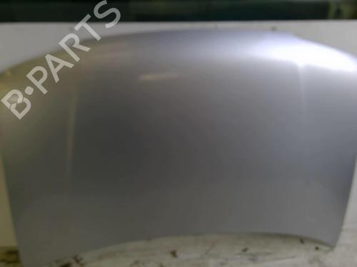 Hood RENAULT LAGUNA I (B56_, 556_) 2.2 D (B56F/2) | BP22869207C1 