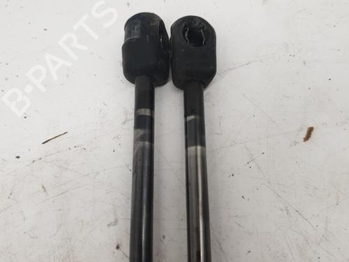 Used Tailgate lift support Tailgate lift support FORD C-MAX (DM2) 1.8 TDCi (115 hp) 22869470 22869470