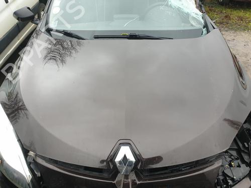 hood-renault-megane-iii-hatchback-bz01_-b3_-2008-32061017 main image