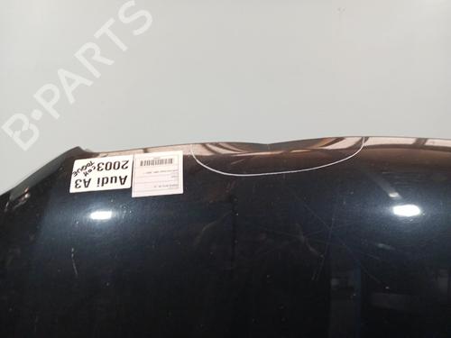 Hood AUDI A3 (8P1) | BP23472118C1