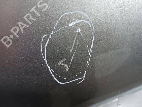 Right rear door RENAULT CLIO III (BR0/1, CR0/1)  | BP23469227C5