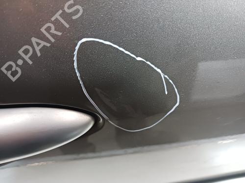 Right rear door RENAULT CLIO III (BR0/1, CR0/1)  | BP23469227C5