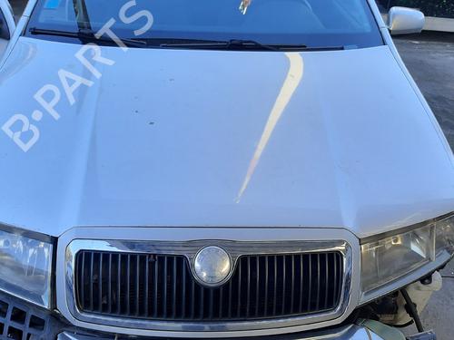 Hood SKODA FABIA I Combi (6Y5) 1.4 TDI BP23469585C1
