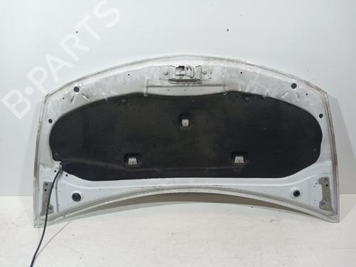 Hood RENAULT CLIO III (BR0/1, CR0/1)  | BP23472129C1