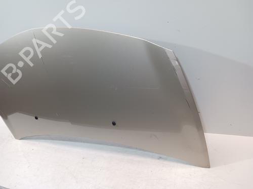 Motorhjelm RENAULT CLIO III (BR0/1, CR0/1)  | BP23472147C1 