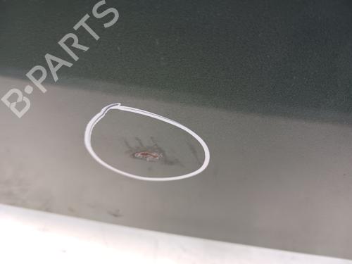 Panser RENAULT MEGANE II (BM0/1_, CM0/1_)  | BP23472154C1