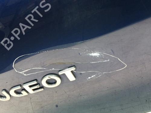 Bagklap CC/Kombi-Coupé PEUGEOT 307 (3A/C)  | BP23472558C6