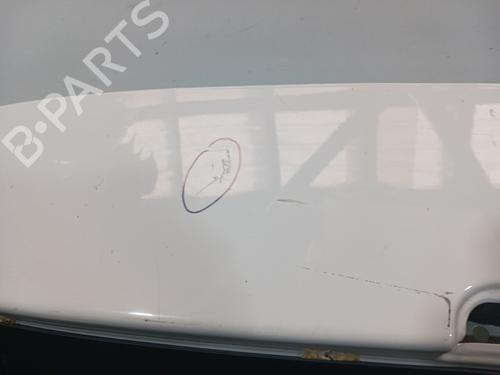 Bagklap CC/Kombi-Coupé RENAULT MEGANE III Hatchback Van (BZ_)  | BP23472789C6 