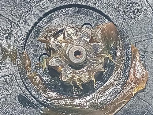 Right rear window motor LAND ROVER DISCOVERY II (L318)  | BP23483503E22 