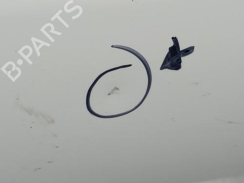 Left rear door RENAULT MEGANE III Hatchback (BZ0/1_, B3_) | BP23496127C4