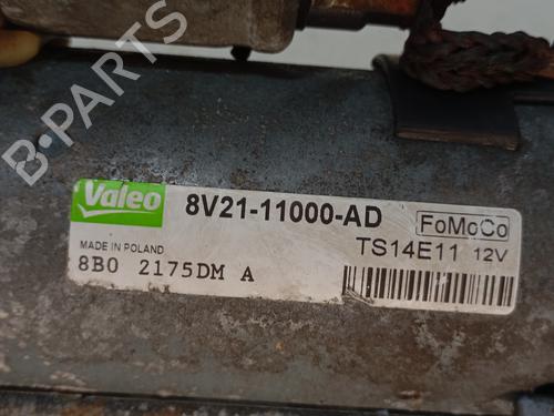 Startmotor FORD FIESTA VI (CB1, CCN) 1.4 TDCi | BP24020579M8