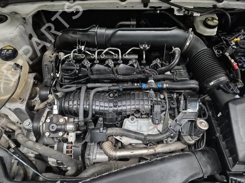 BP29374737M1 main image