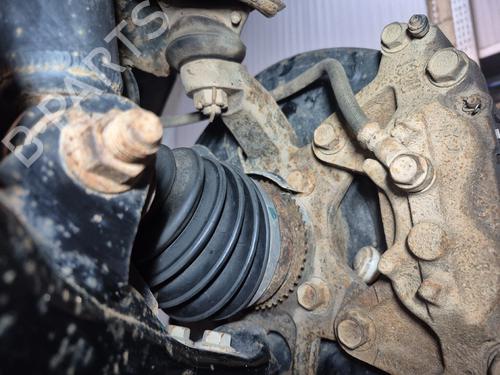 BP29503303M26 main image